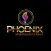 Phoenix Mobilidade Urbana