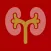 Taxa de Filtração Glomerular - TelessaúdeRS