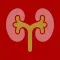 Taxa de Filtração Glomerular - TelessaúdeRS