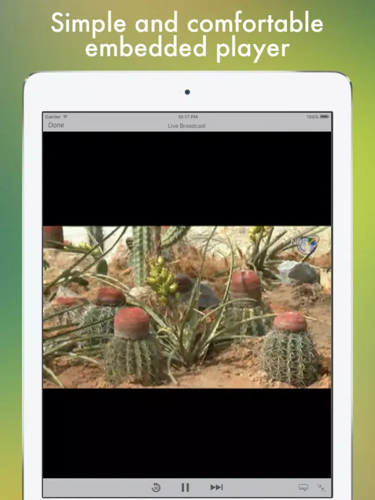 TV Brasileira - televisão brasileira on-line iPad  스크린샷