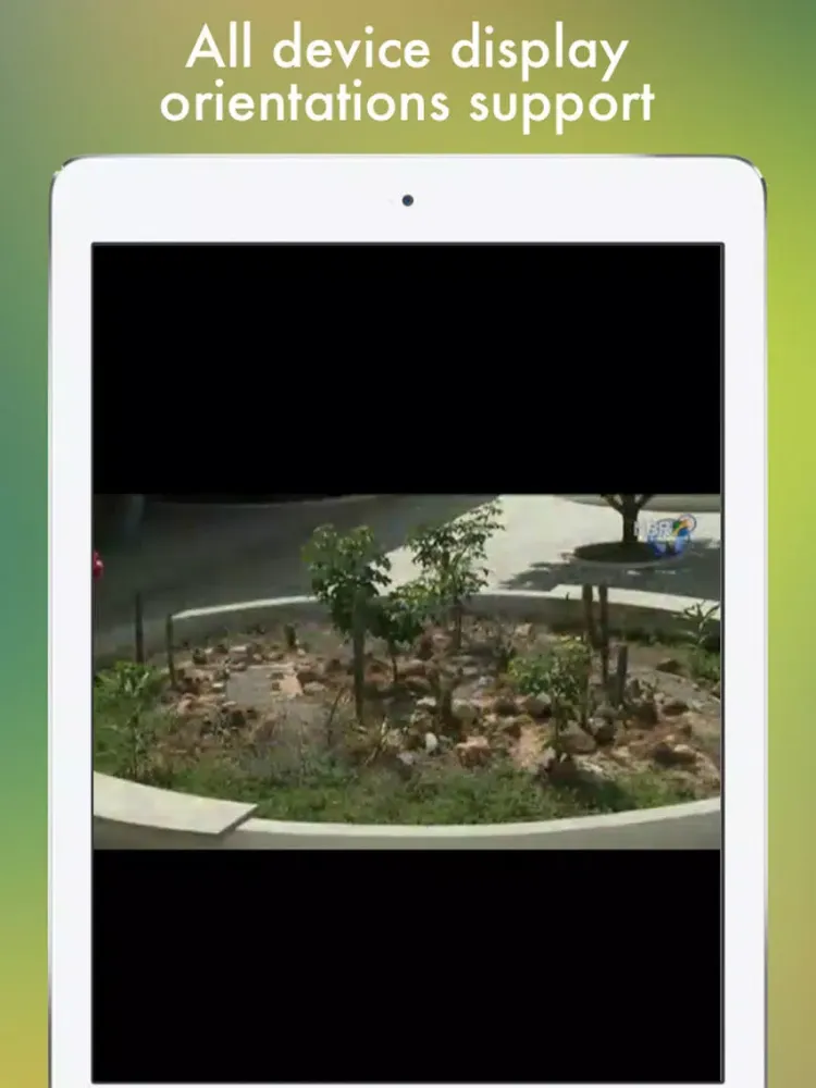 TV Brasileira - televisão brasileira on-line iPad  스크린샷