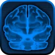 Brain Scan!
