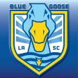 Blue Goose Soccer Blue Goose Soccer