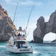 Go Deep Go Cabo Sportfishing Go Deep Go Cabo Sportfishing