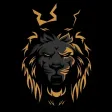 FOREX UNIVERSITY
