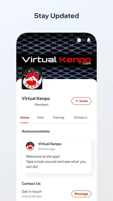 ภาพหน้าจอของ Virtual Kenpo