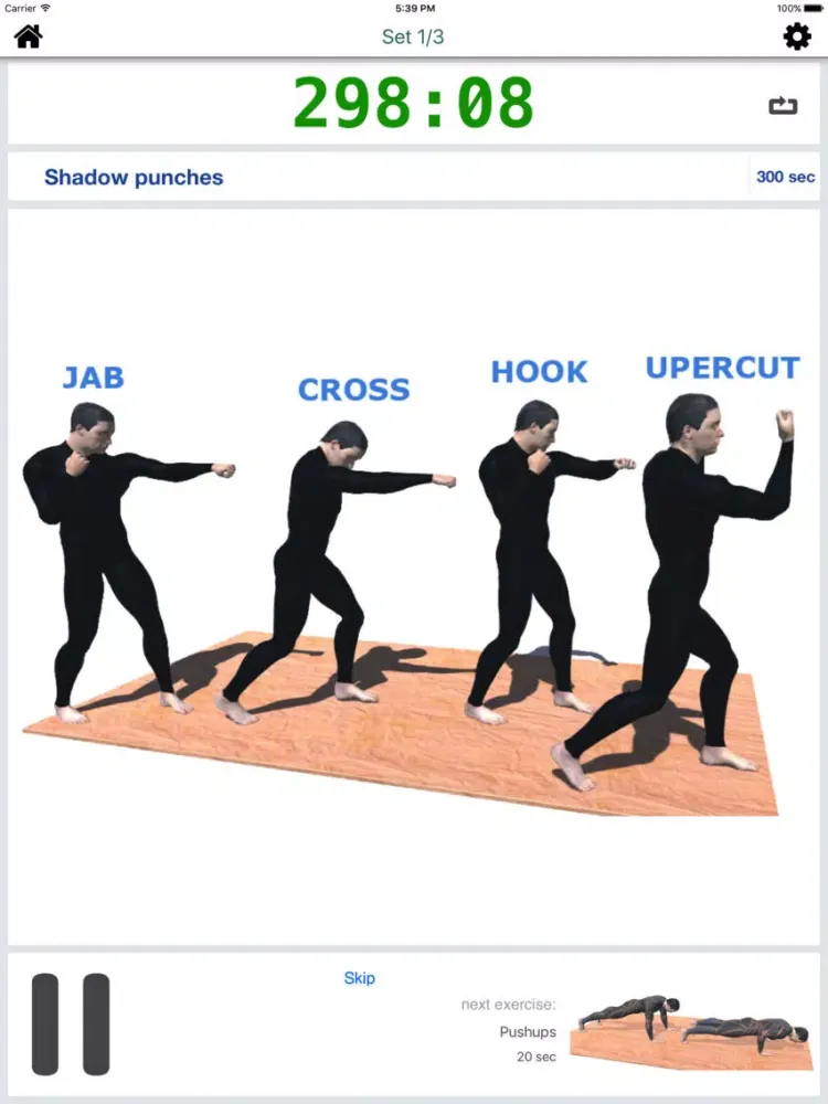 تصاویر 20 Min Boxing Workout - Train like a boxer Pro iPad 