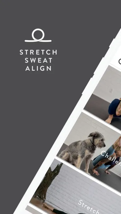 Stretch. Sweat. Align. Screenshots