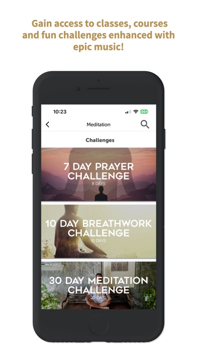 Soul Groove Wellness Screenshots