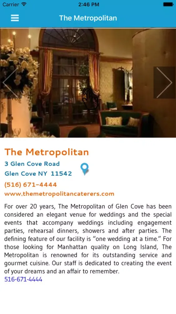 The Metropolitan Ekran Görüntüleri