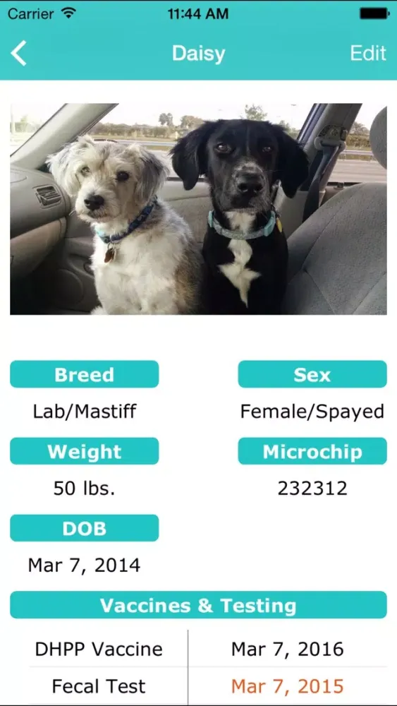 YourVet Screenshots