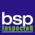 Autoinspeccion BSP