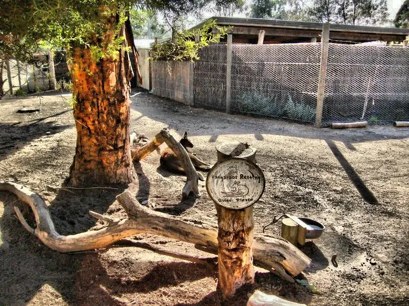 صور Ultimate HDR Camera