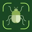 Bug Identifier: Insect, Spider