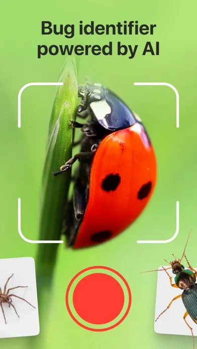 Скриншоты Bug Identifier: Insect, Spider