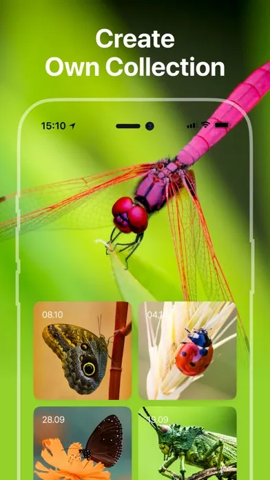 Скриншоты Bug Identifier: Insect, Spider