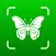 Bug Identifier: Insect Finder