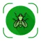 Bug Identifier - Insect Finder