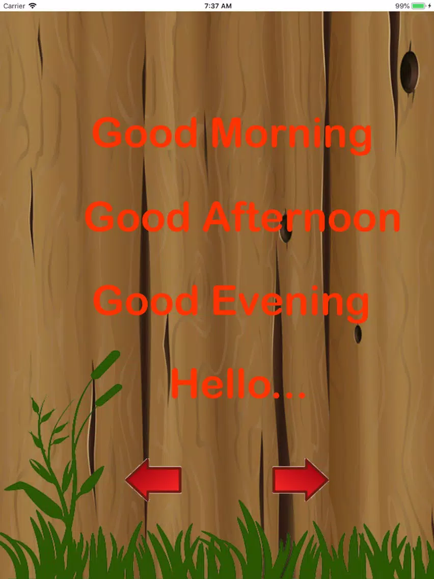 learning english conversation iPad  স্ক্রিনশট