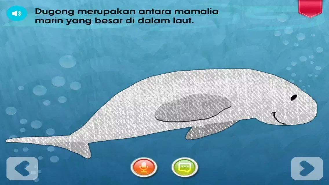 Bukuu - Apa Ada di Dalam Laut? (Lite) Screenshots