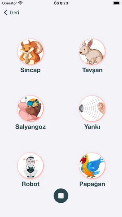 Zrzuty ekranu Seslen
