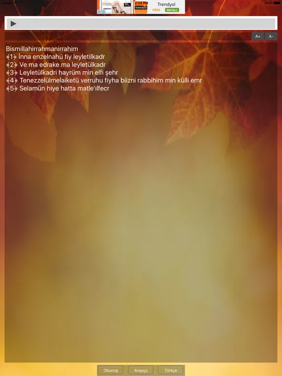 Kadir Suresi iPad  Screenshots