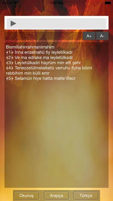 Kadir Suresi Screenshots