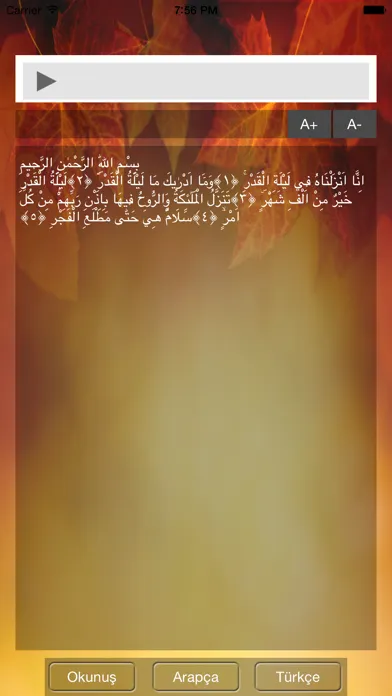 Kadir Suresi Screenshots