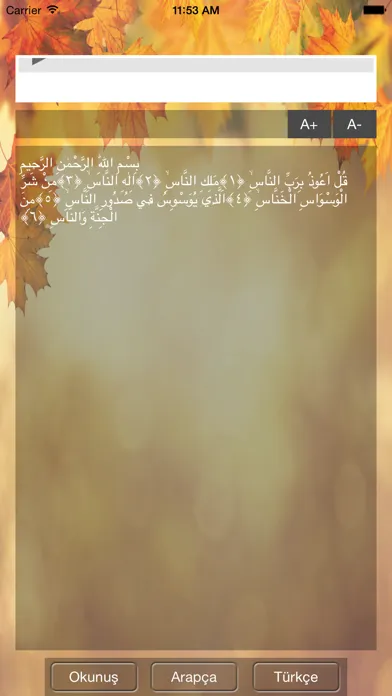 Nas Suresi سکرین شاٹس