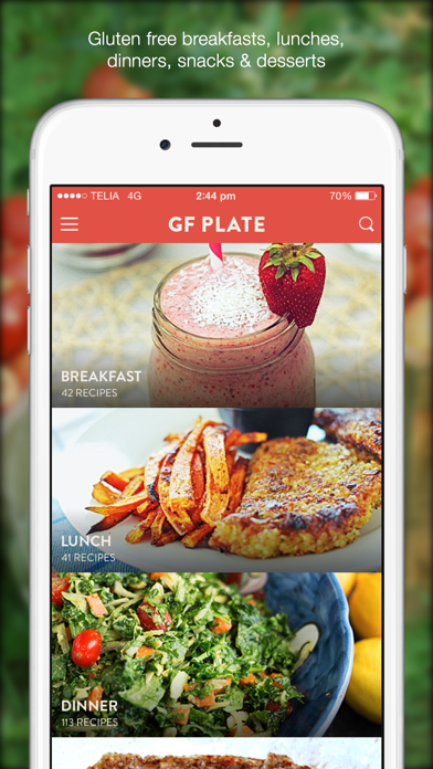 Screenshot di GF Plate