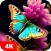 Butterfly Wallpapers 4K