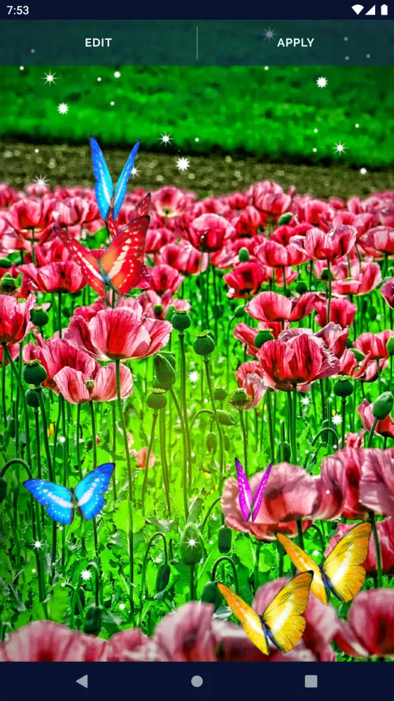 Butterfly Flowers Wallpapers Screenshots