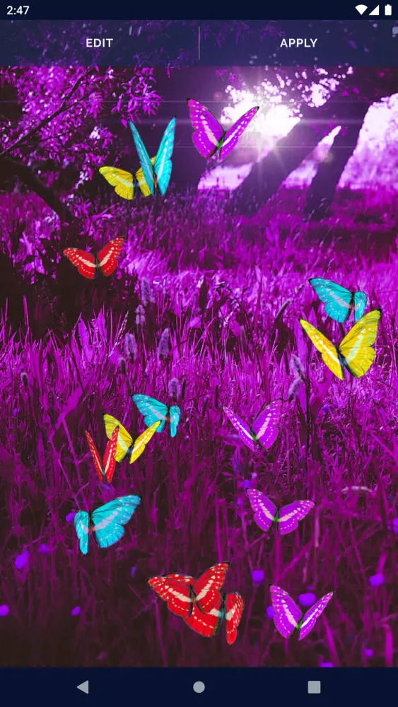 Butterflies Forest Wallpaper Screenshots
