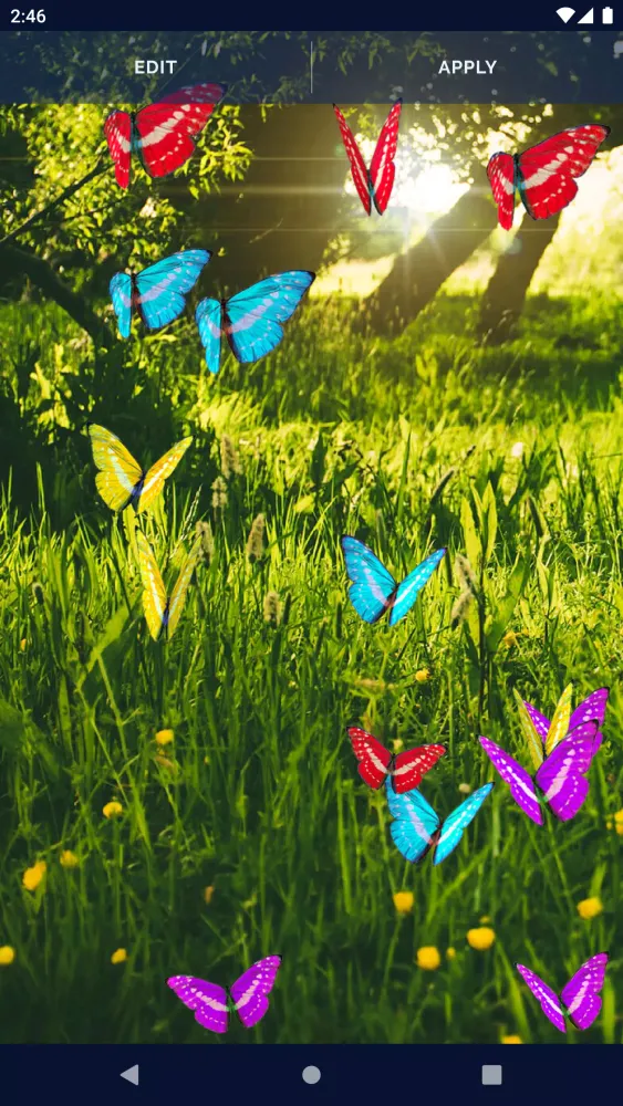 Butterflies Forest Wallpaper Screenshots