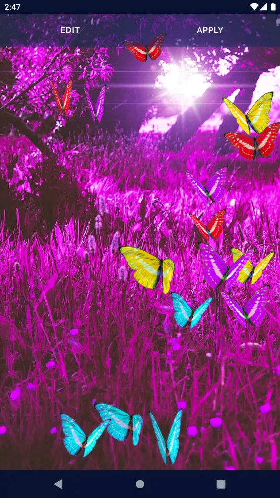Butterflies Forest Wallpaper Screenshots
