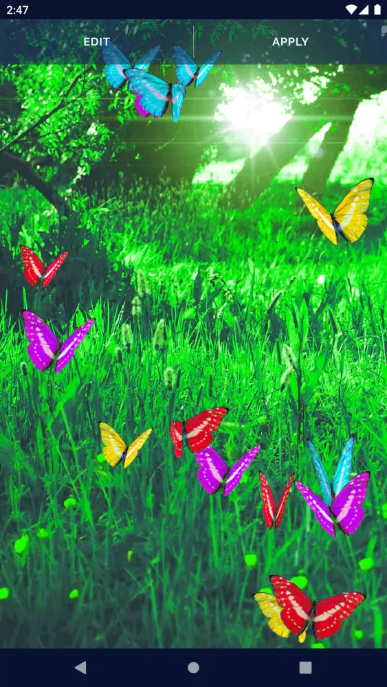 Butterflies Forest Wallpaper Screenshots