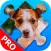 Puppy Jigsaw Puzzles. Premium