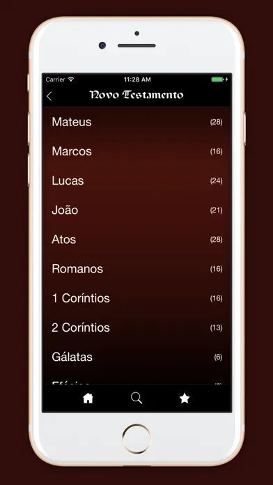 Holy Bible in Portuguese应用截图