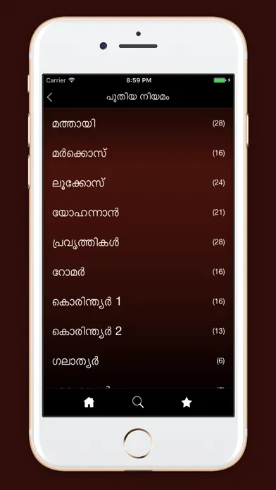 Captures d'écran de Holy Bible Malayalam