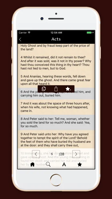 Tangkapan layar Douay - Rhiems Catholic Bible