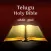 Telugu Bible Indian Version