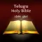 Telugu Bible Indian Version