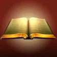 The Message Bible (MSG)
