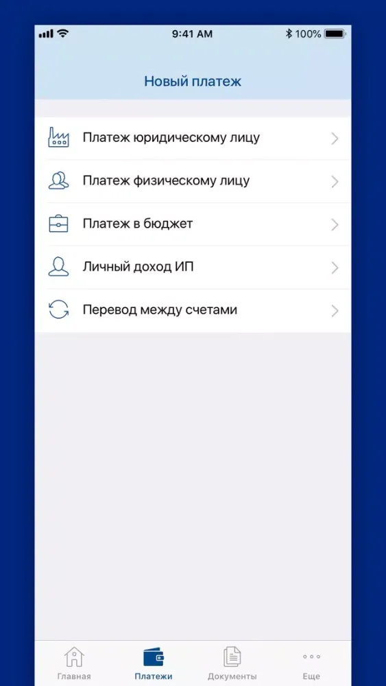 Screenshot di VTB Business BY