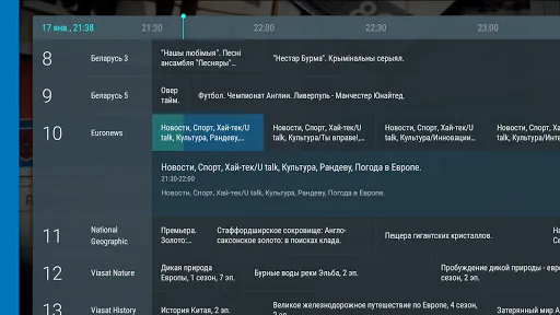 TVirl. IPTV for Android TV应用截图