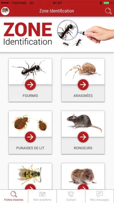 Capturas de tela do Abat Extermination
