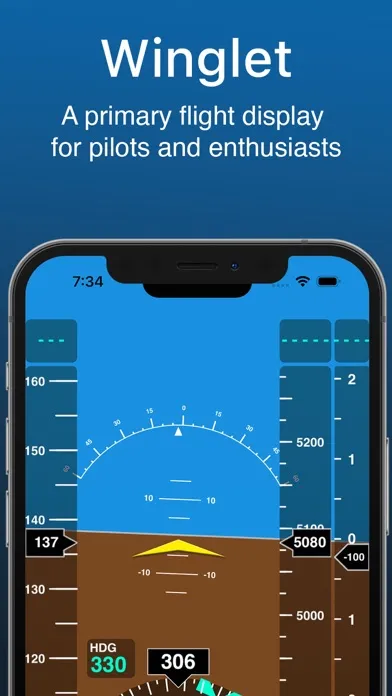 Tangkapan layar Winglet Flight Display