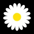Marguerite by Avril