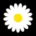 Marguerite