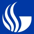 Georgia State Self Checkout